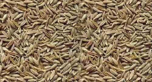 cummin-seeds-500x500